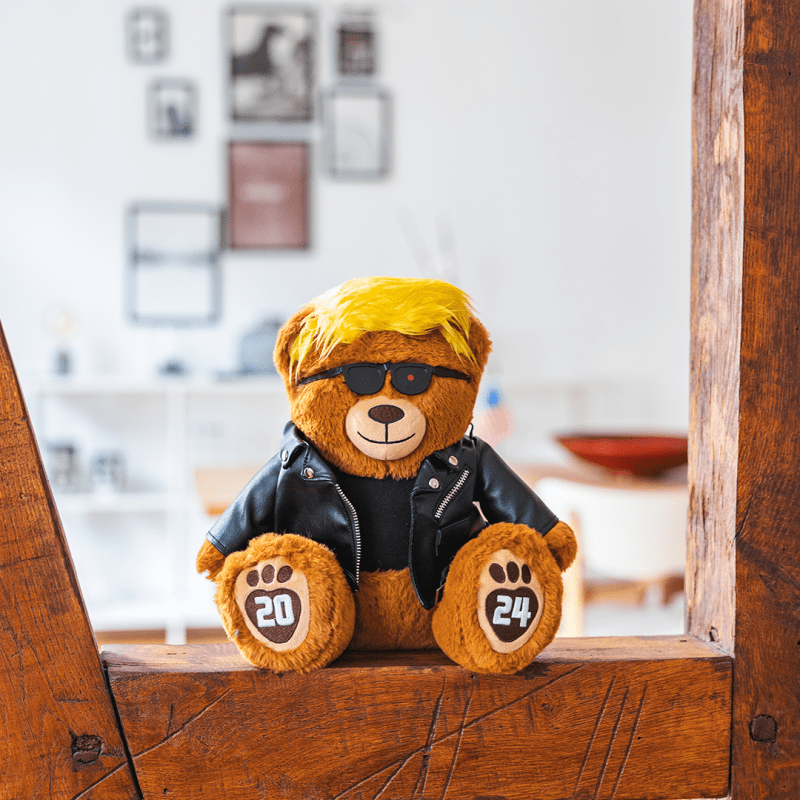 bearpic6foramazonandshopify